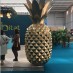 ananas-geant-24.jpg